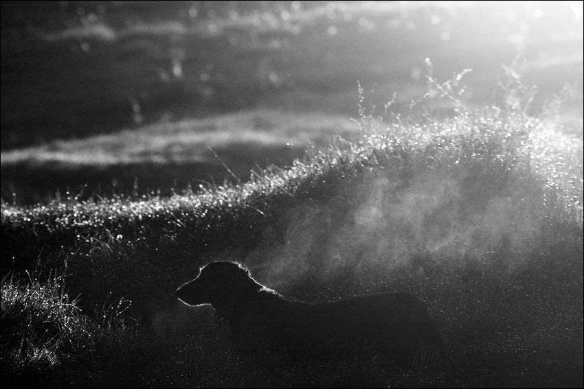 , Сергей Чубаров