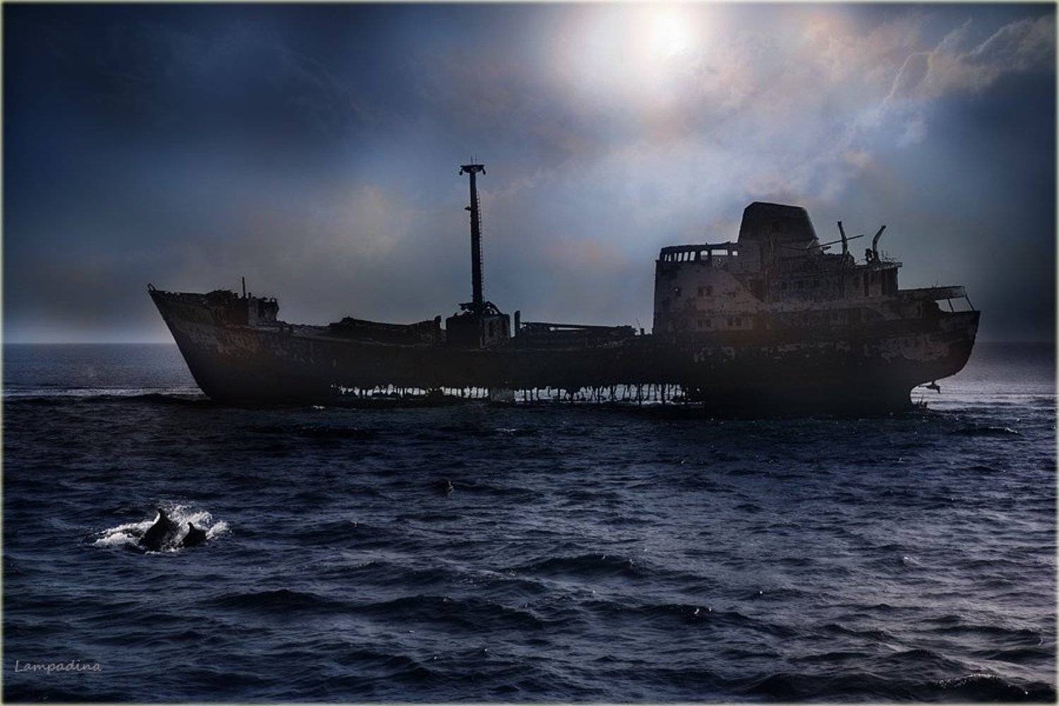 красное море, судан, кораблекрушение, дельфины, lampadina