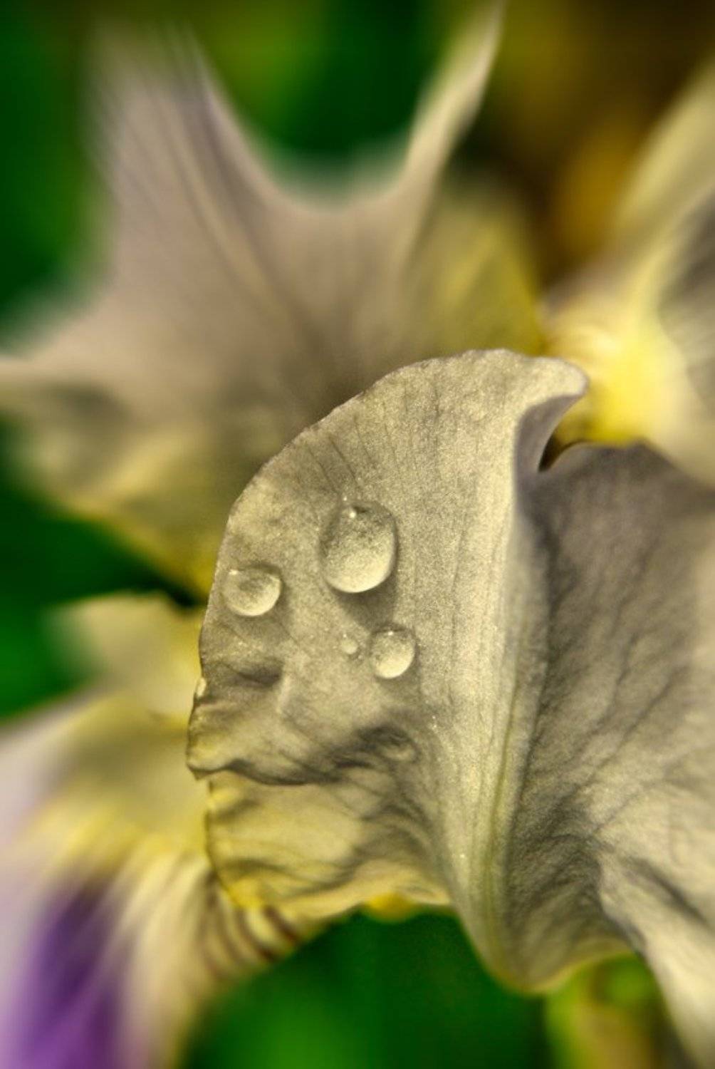 , Патрикеев Александр