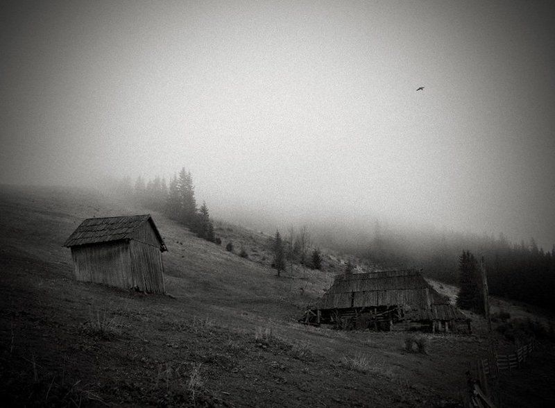 Тени забытых предков фото превью