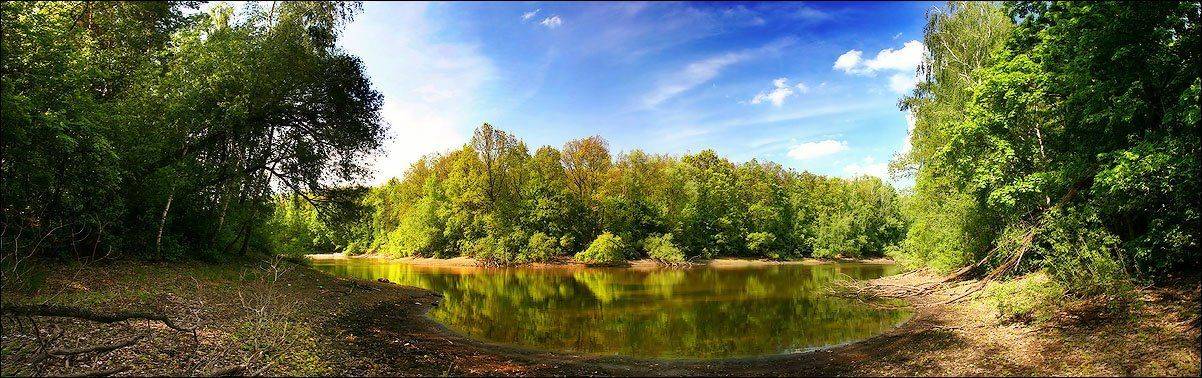 пруд, панорама, лето, Алексей Строганов