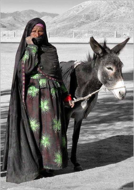 египет бедуинка Бедуинка фото превью