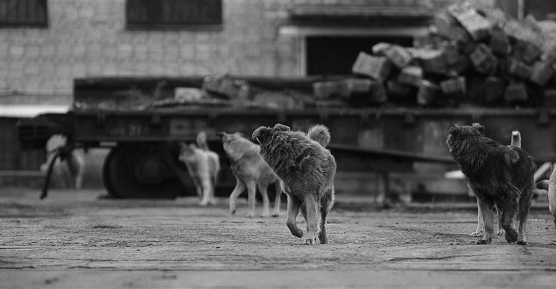 Про нежелание фотографироваться фото превью