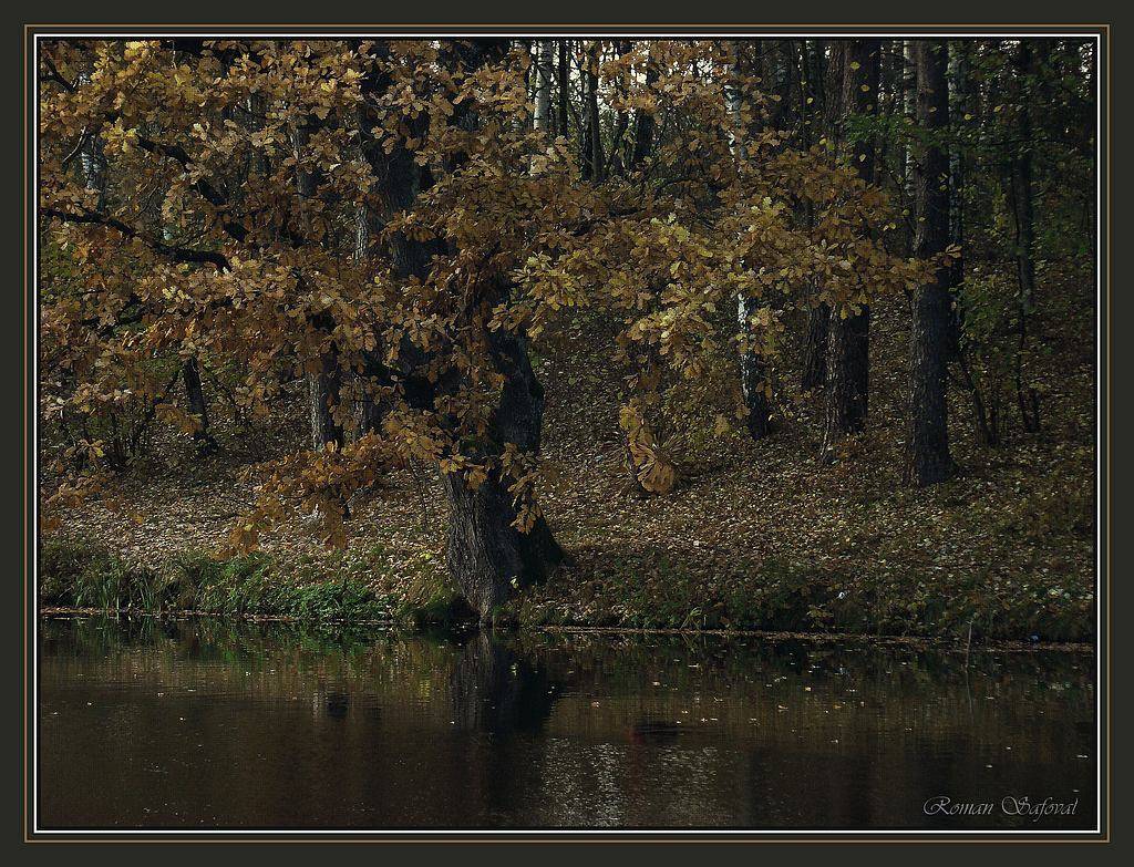 осень, Роман