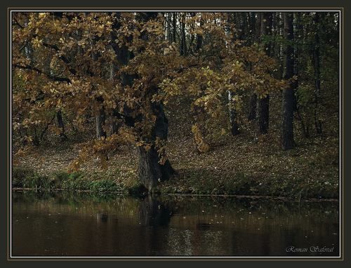 Странная ностальгия по осени.....