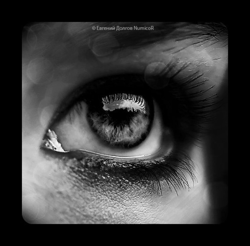 глаз, глаза, чб, отражение *** фото превью