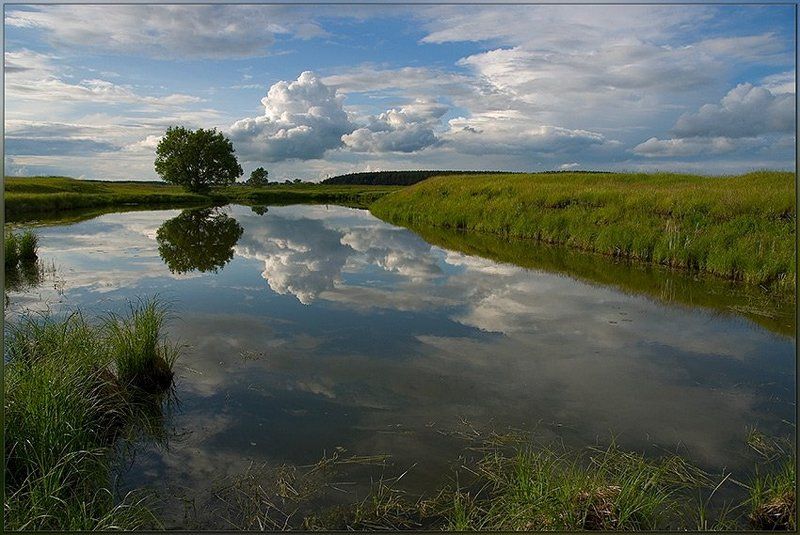 лето, вечер, озеро, дерево, отражения Серия \