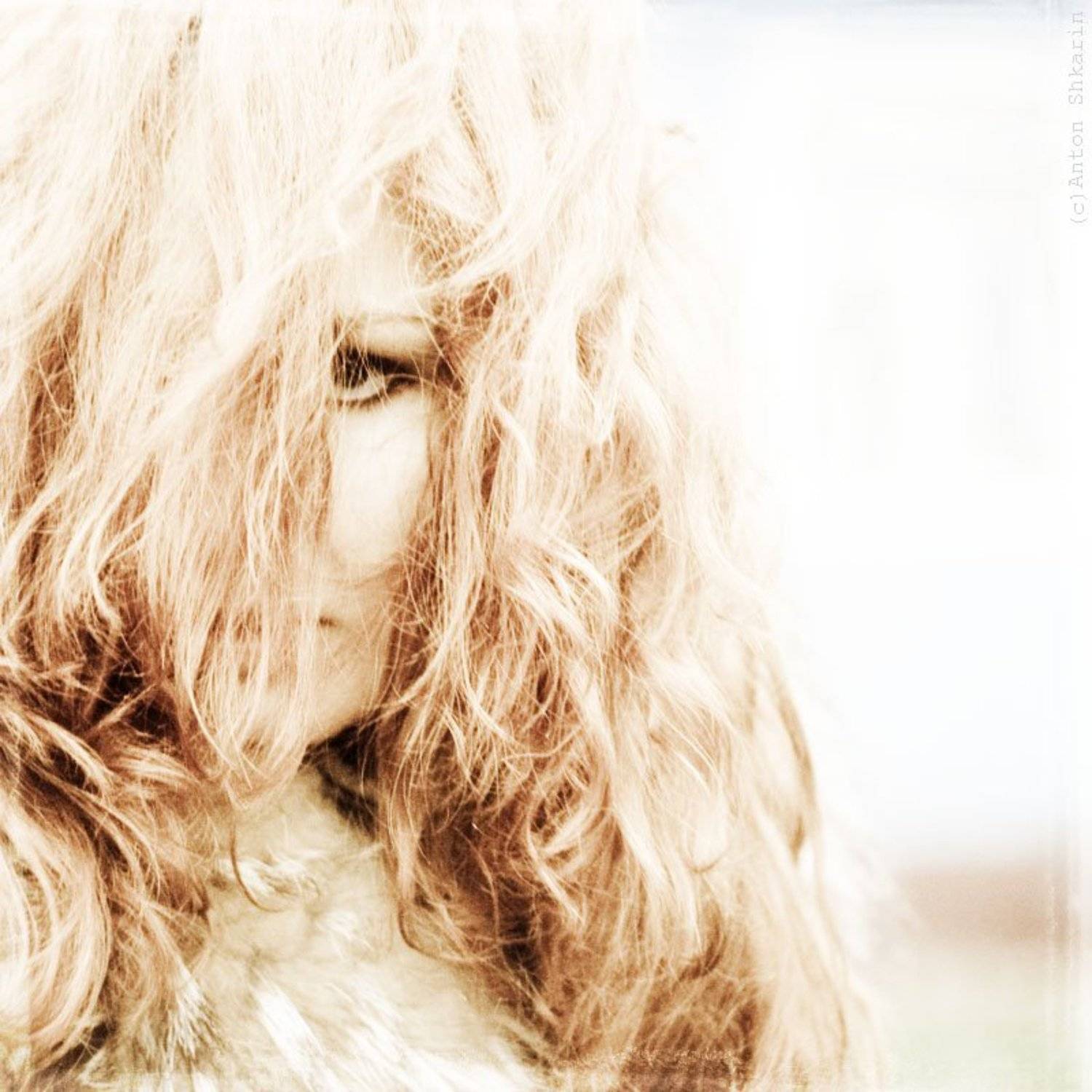 e:\!!!\export\мила\img_7493 copy3.jpg, Антон Шкарин