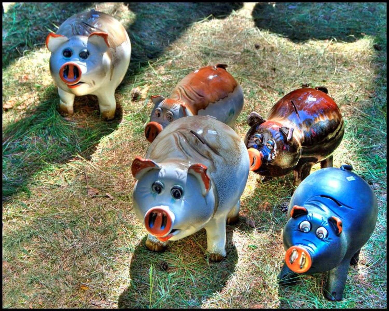 копилка, ярмарка, Cairns (Павел Васильев)