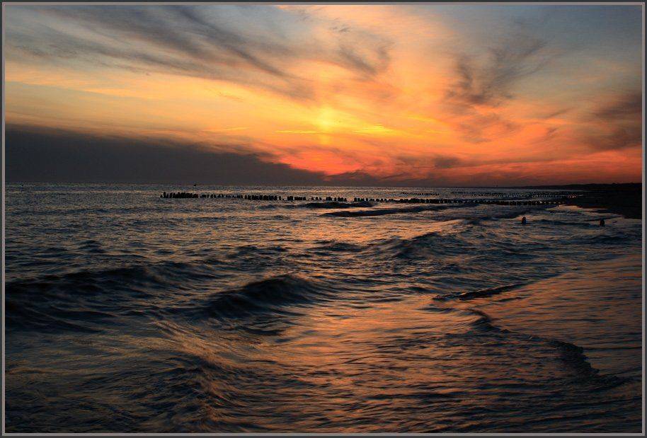 , Павел Дунюшкин