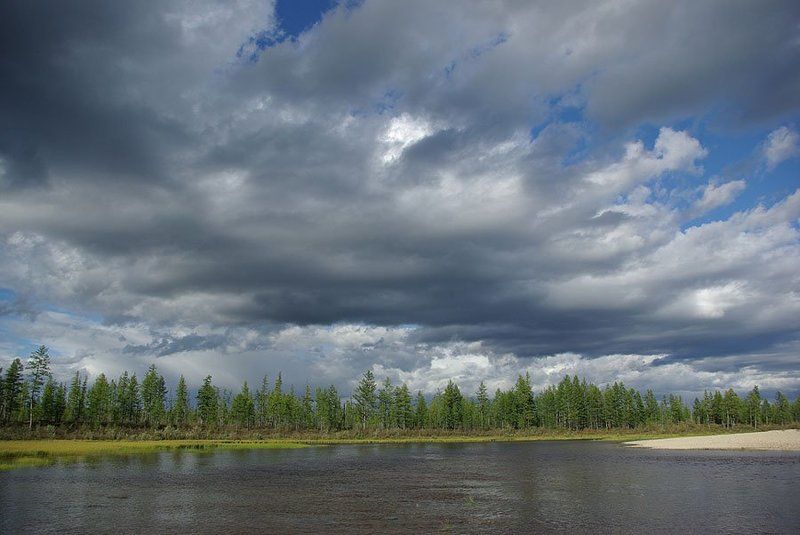 тайга,тучи,река Перед грозой фото превью