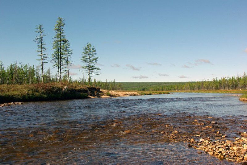 перекат,река,тайга Перекат фото превью