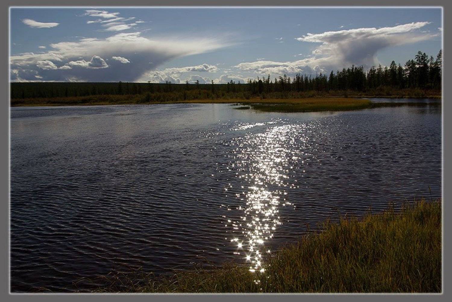 река,тайга, Солодухин Виктор