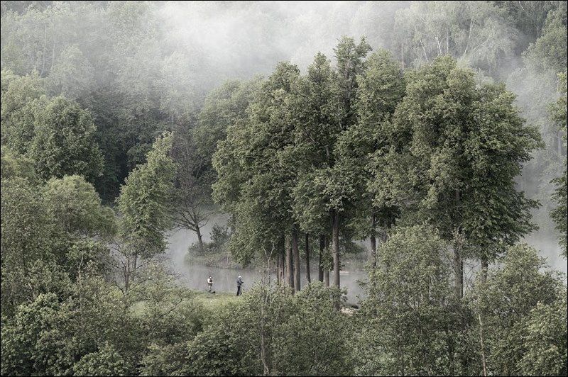 Чуть цветная утренняя картинка с видом на пруд в Середниково сверху фото превью