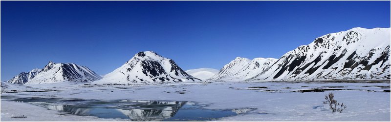 фото, чукотка, снег, photo, chukotka, snowmaker, провидения, куст, сопки, горы Близ Провидения, майская. фото превью