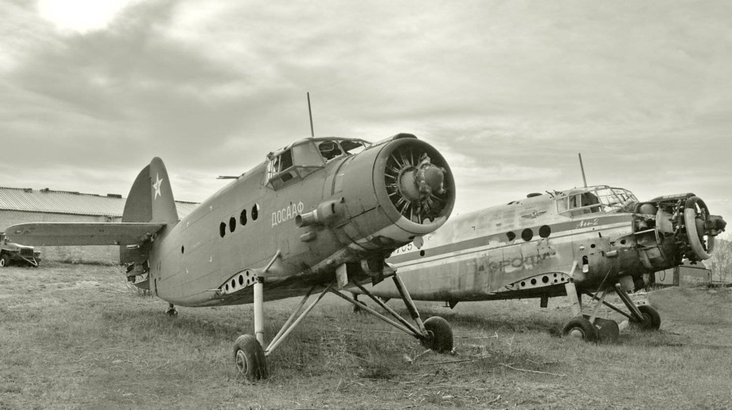 самолет, аэродром, досааф, Олег Шубаров