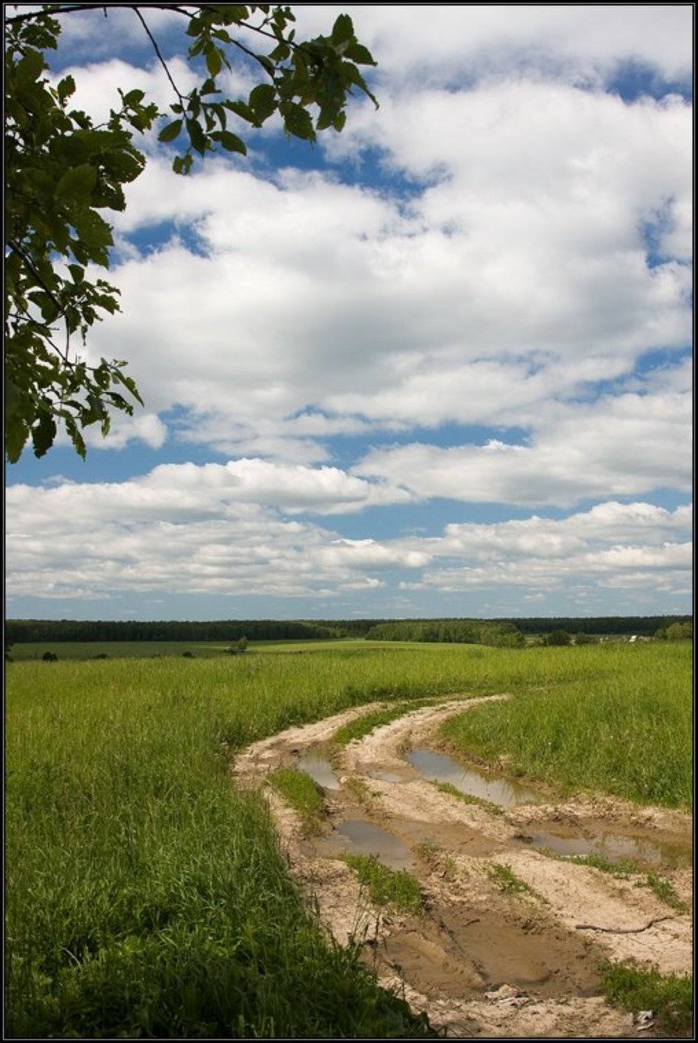 подмосковье, облака, лето, солнце, поле, трава, дорога, Gemini (Алексей)