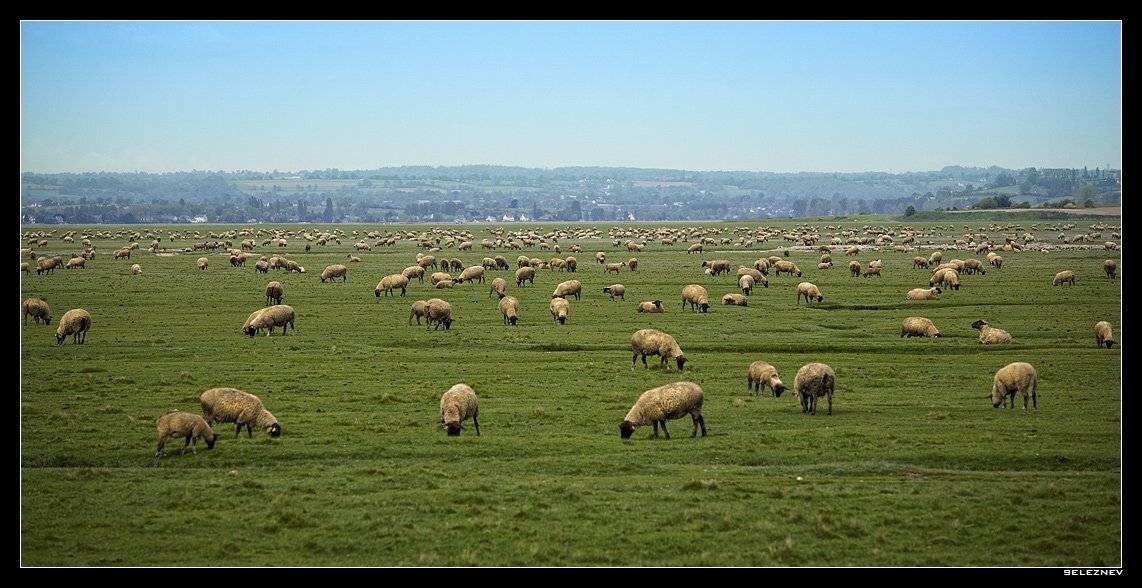 бретань, seleznev