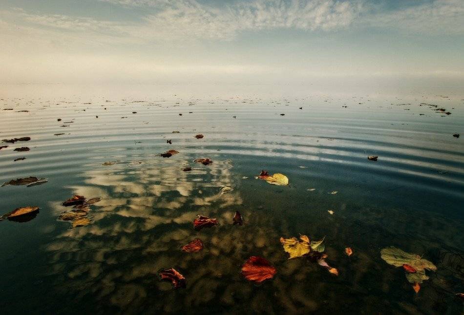 , Владимир Липецких