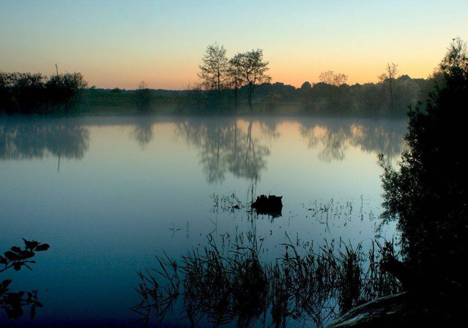 , Павел Дунюшкин