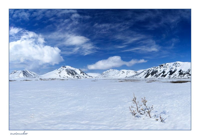 фото, чукотка, снег, photo, chukotka, snowmaker, провидения, куст, сопки, горы My Chukotka фото превью