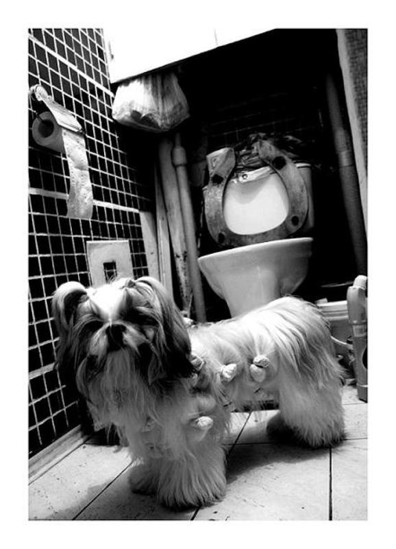 **** фото превью