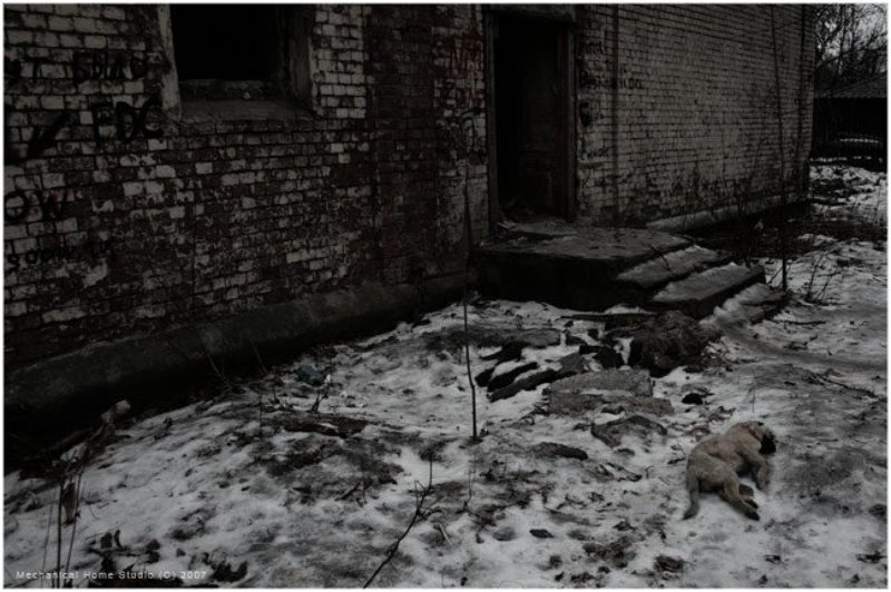 abandoned ... фото превью