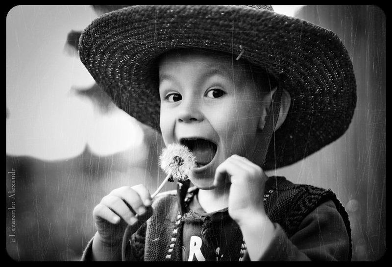 Вкус одуванчика знает каждый :) фото превью