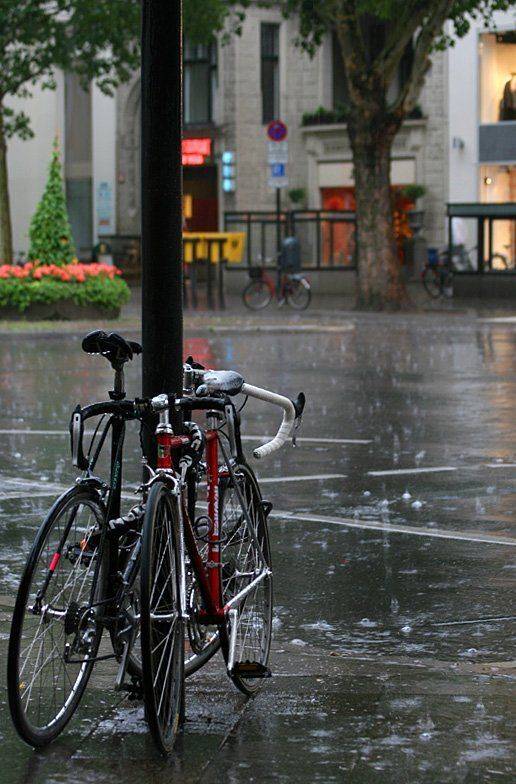 , Александр Цабель