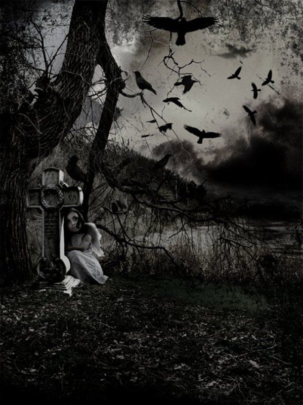 H I D D E N.. фото превью