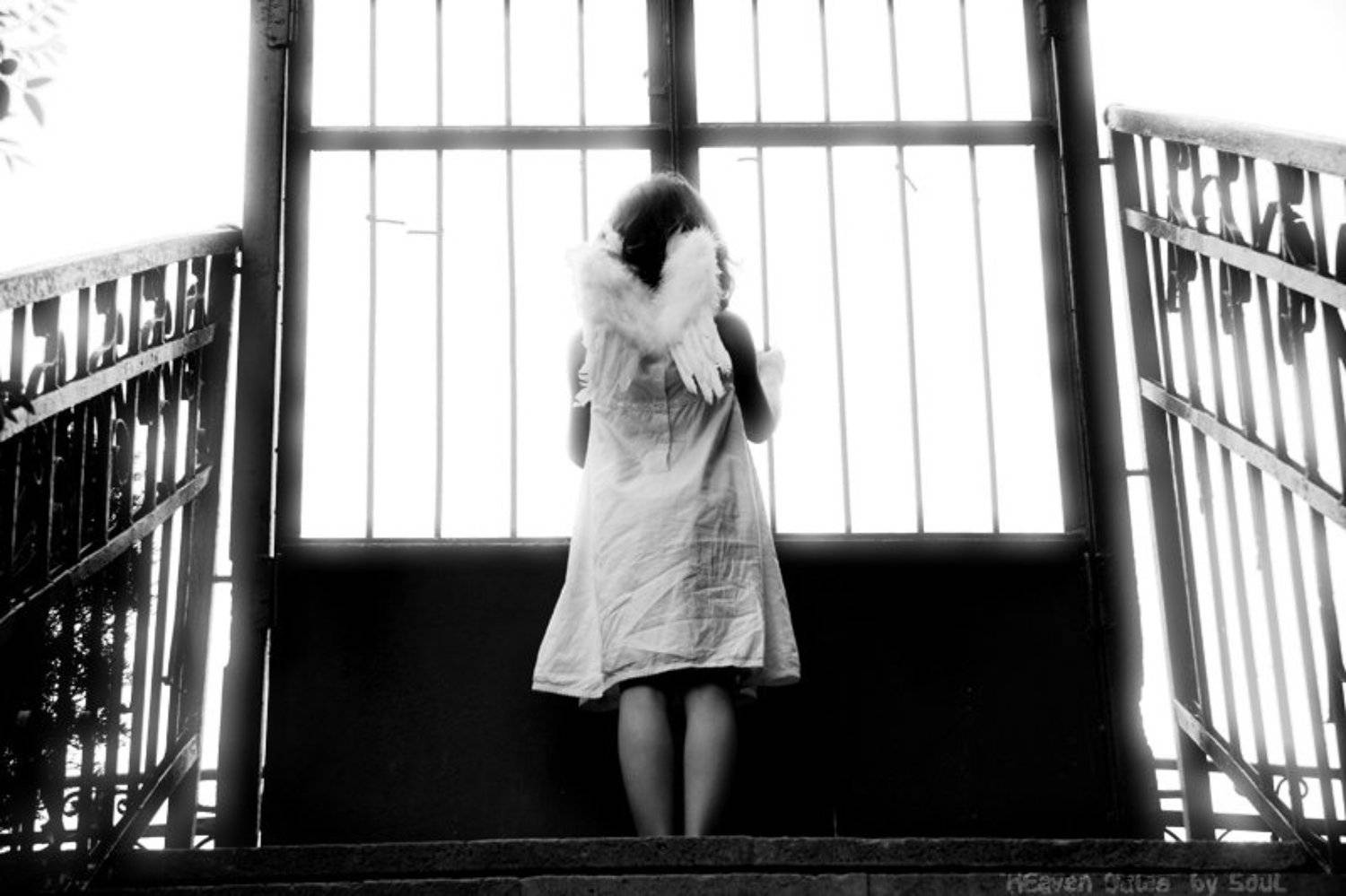 angel ангел, SouL