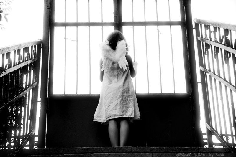 angel ангел HeavenGatesNotForMe фото превью