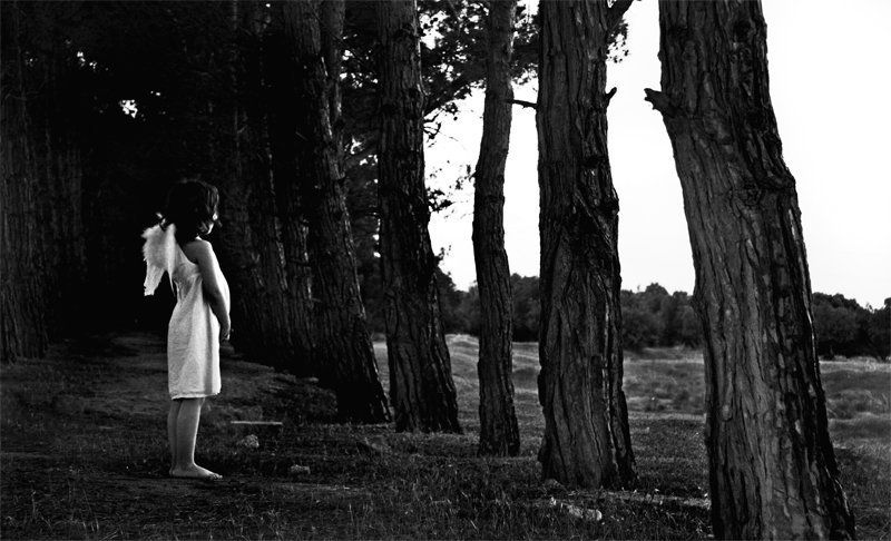 TakeMeBack фото превью