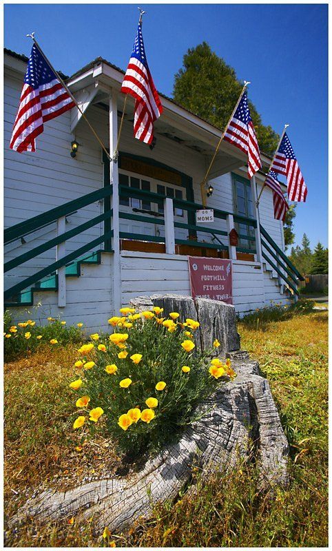 14th JUN - Flag Day. Volcano, California. фото превью