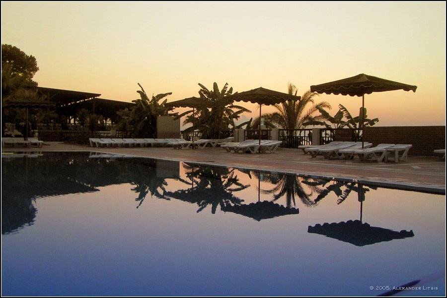 пальмы,зеркало,тишина,восход,утро, Александр Лицис