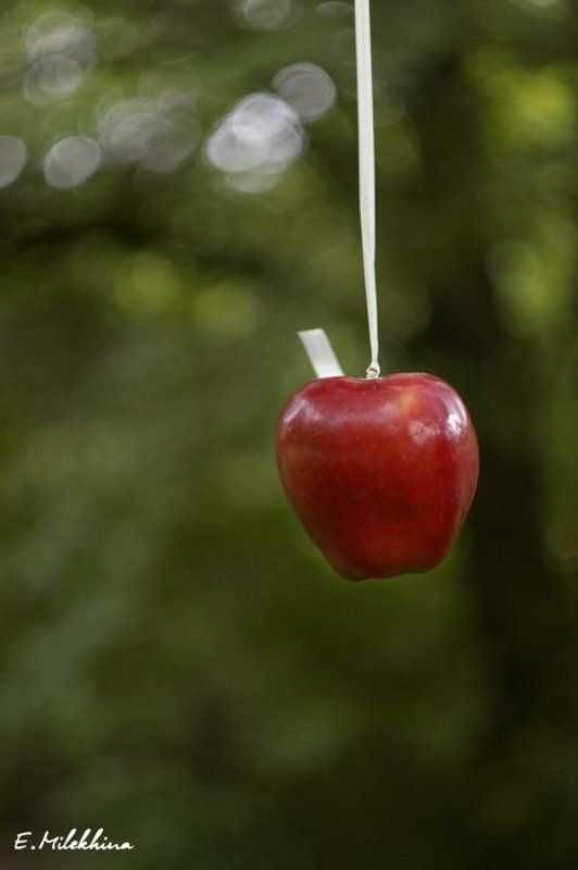 apple  фото превью