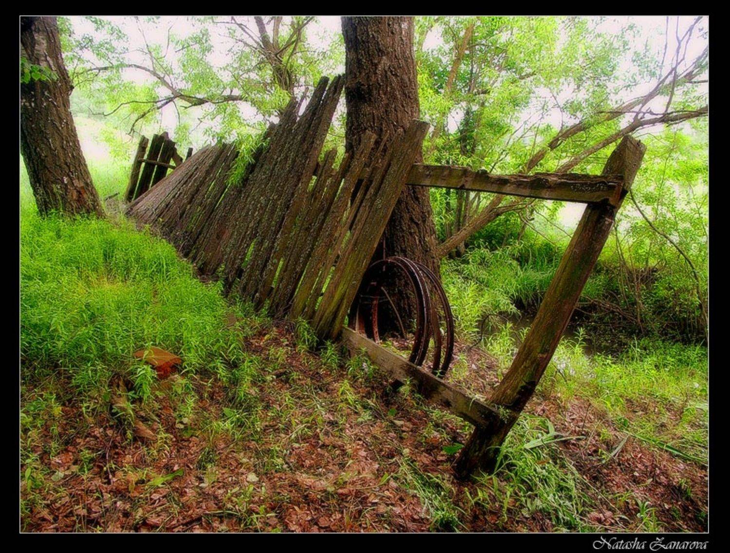 забор, юрлово, Наталья Захарова