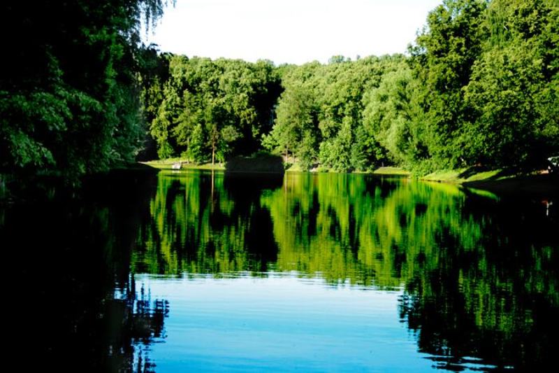 царицино, парк, пейзаж Покой фото превью