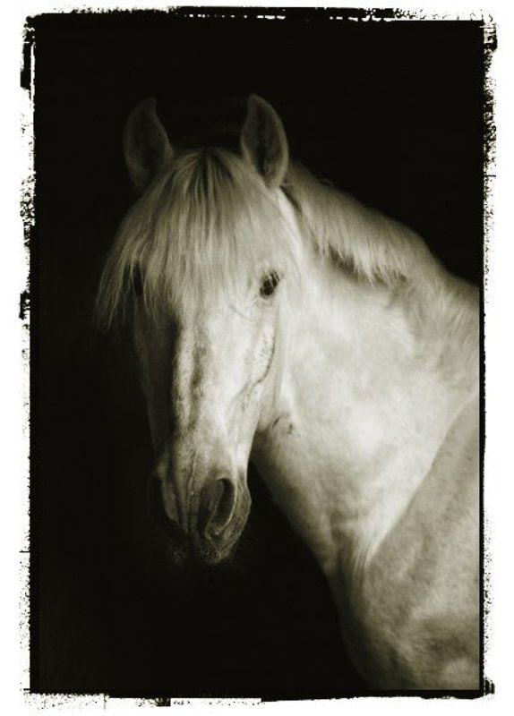 Болеар. фото превью