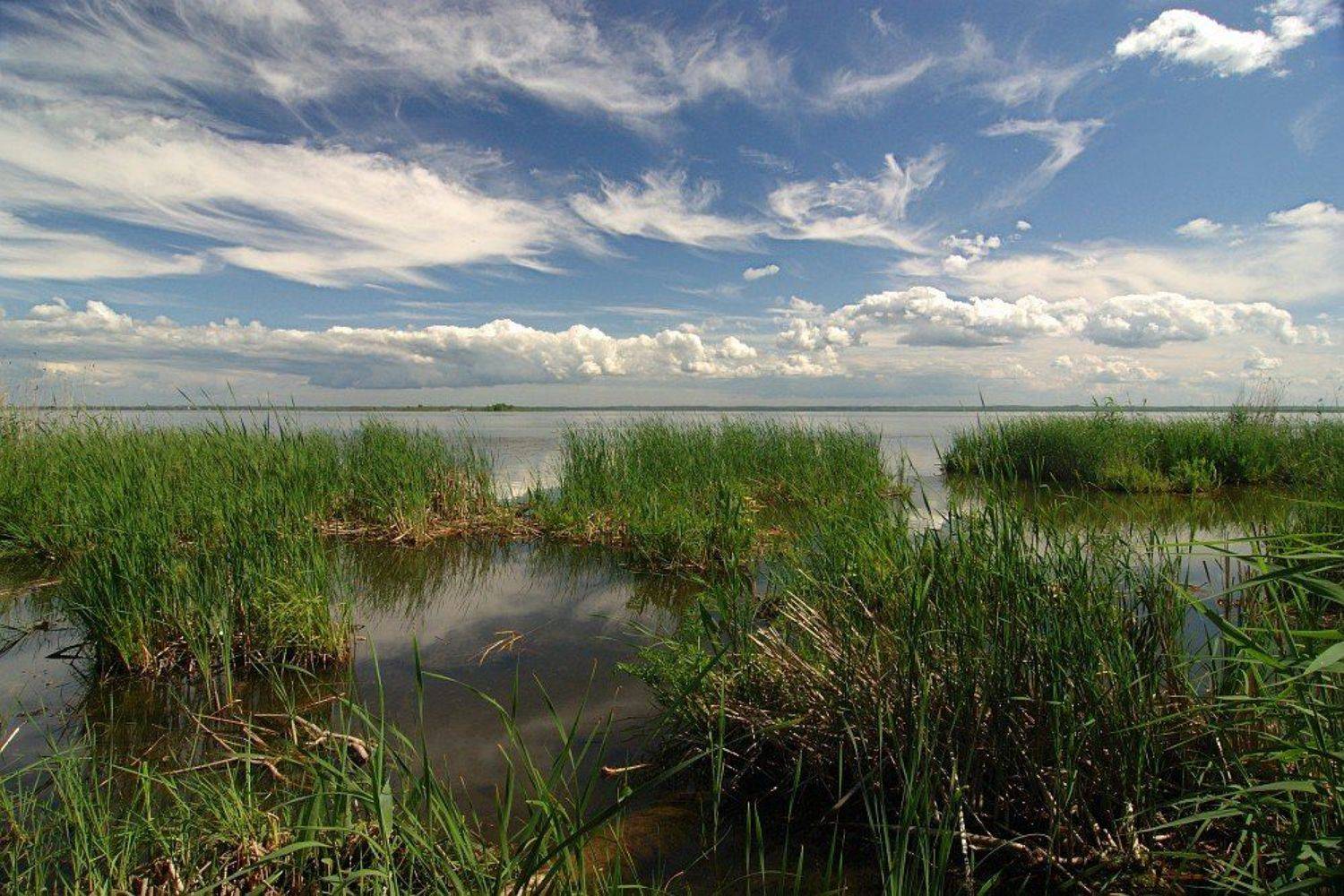 ростов великий, озеро неро, береговые заросли, рельефные облачка, полярик, Kaiser Sozo