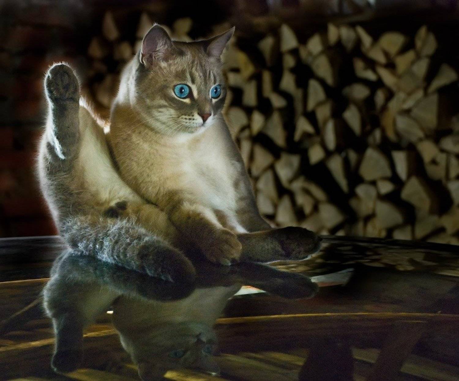 , Дмитрий Милосердов