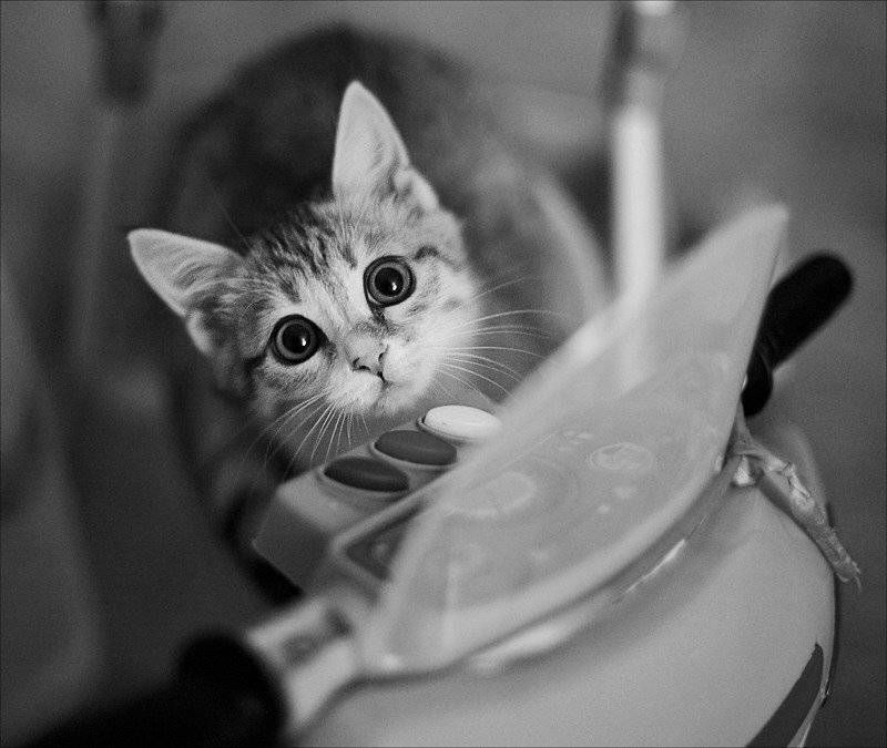 , Роман Быков