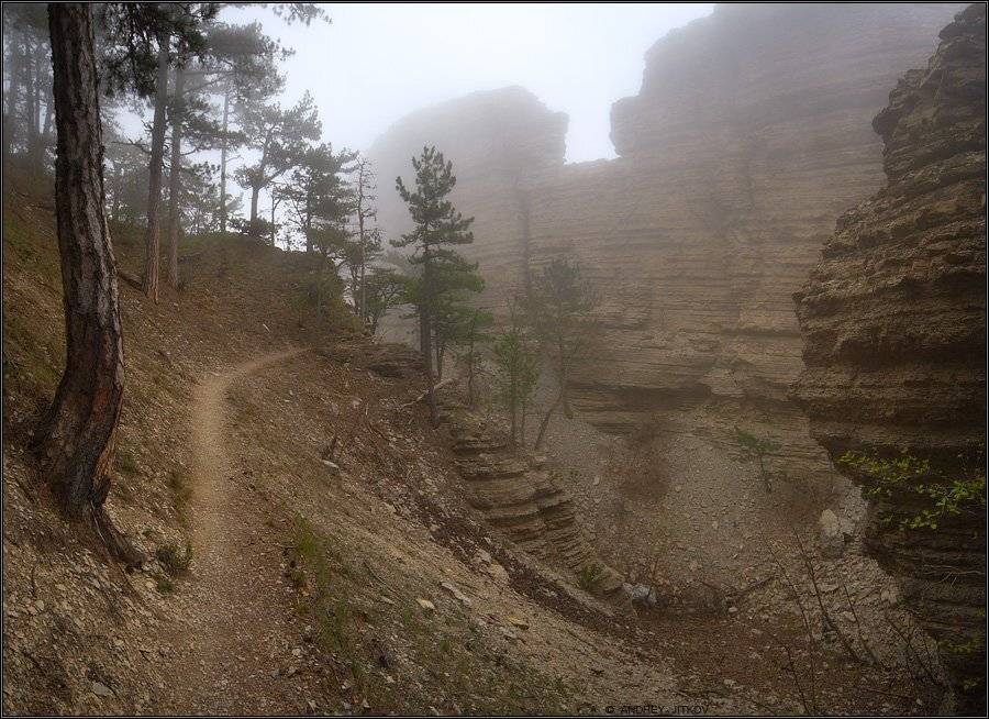 крым, туман, таракташ, горы, пейзаж, Андрей Житков