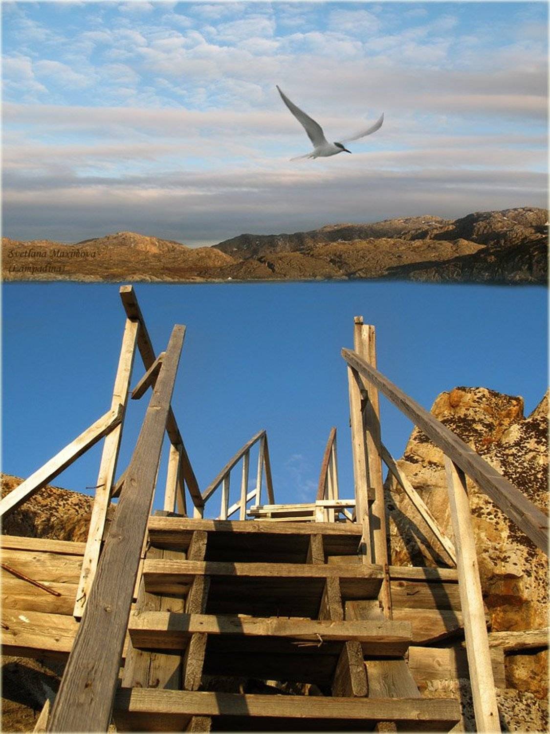 баренцево море, полуостров немецкий, малая немецкая бухта, lampadina