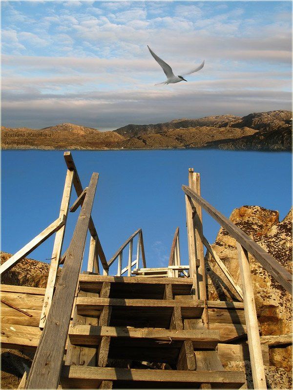 баренцево море, полуостров немецкий, малая немецкая бухта Про лесенку... фото превью