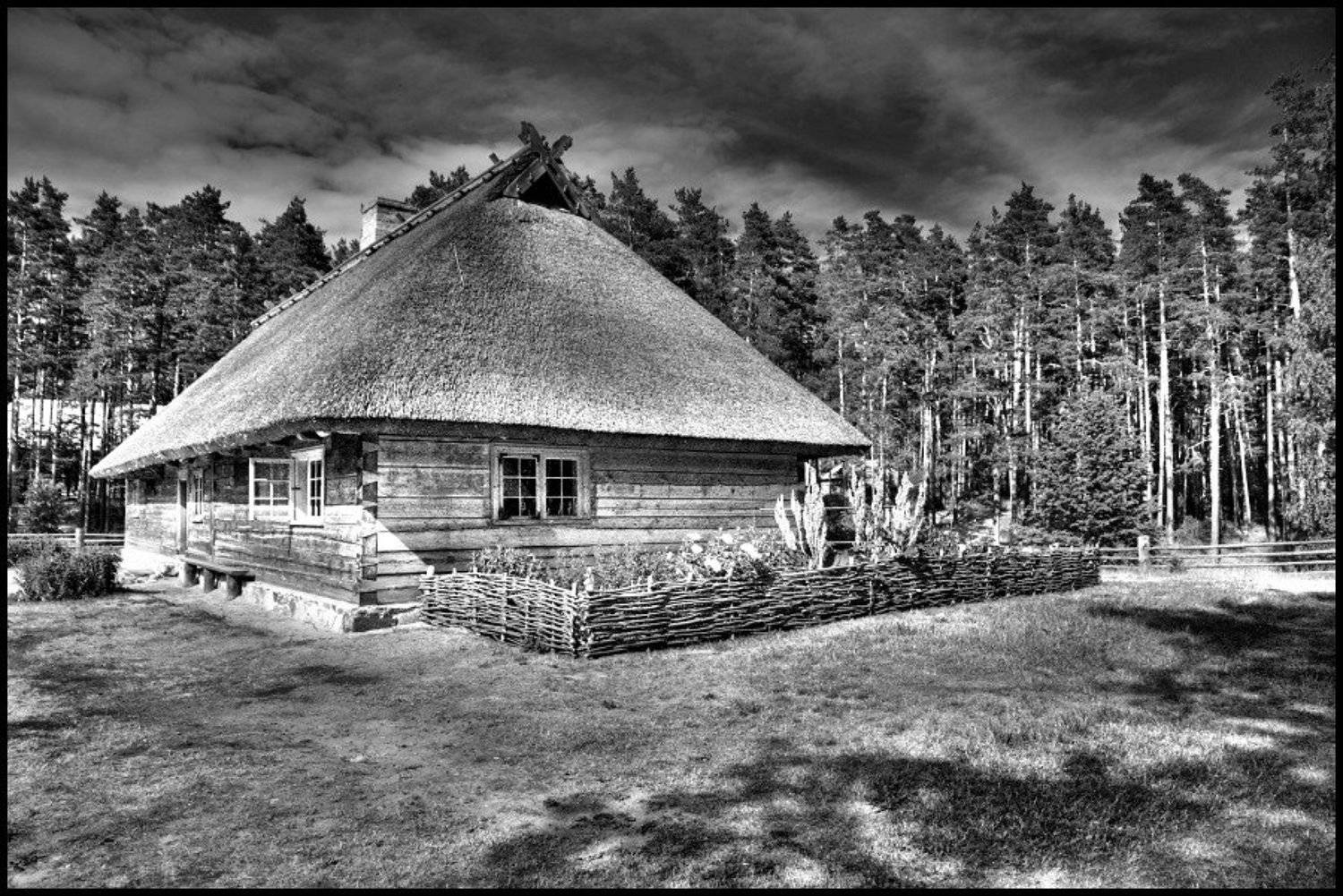 , Cairns (Павел Васильев)