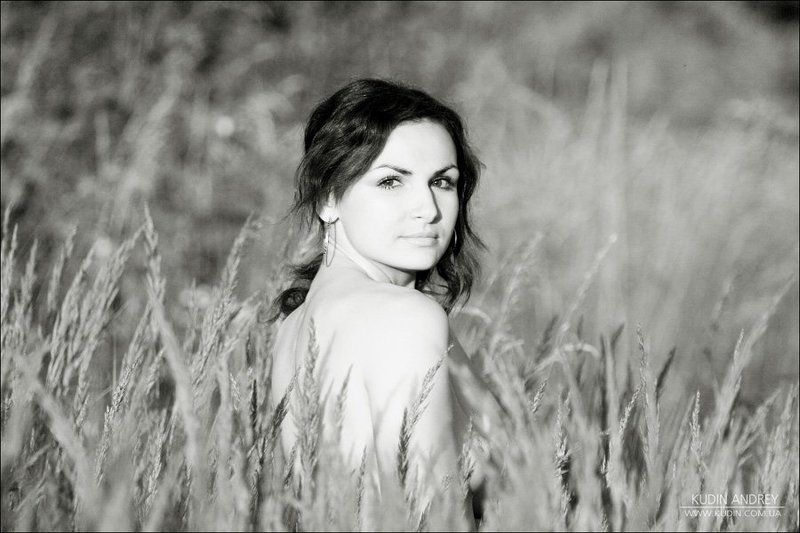 вітер торкається трави, трави, трави. Вітер торкається трави, трави, трави. фото превью