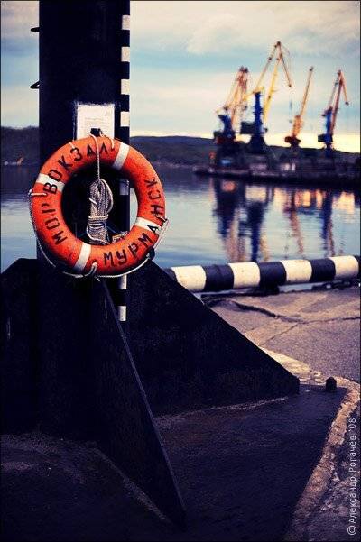 мурманск, Александр Рогачёв