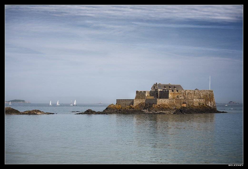 франция, seleznev