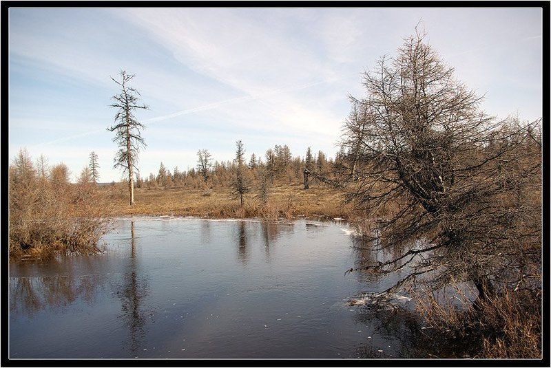 ручей,тайга Весенний день фото превью